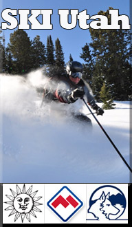 ski_banner