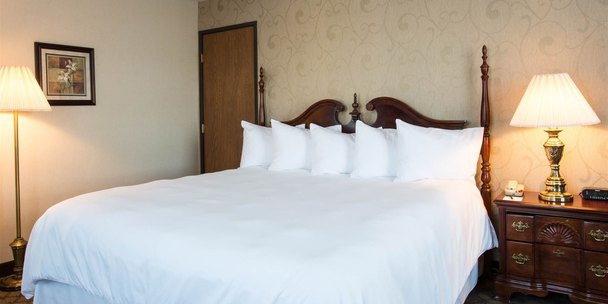 Corner King Suite